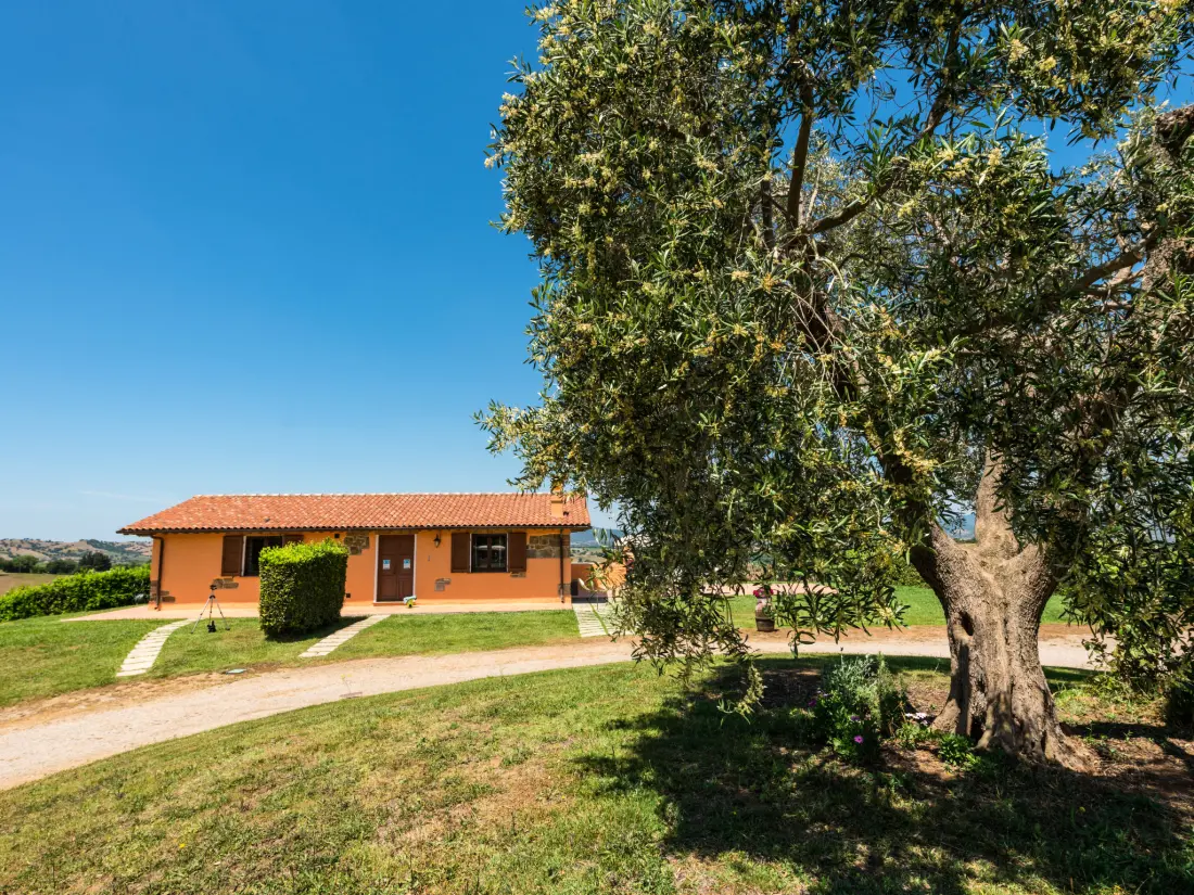 Maison de Vacances Istia d'Ombrone