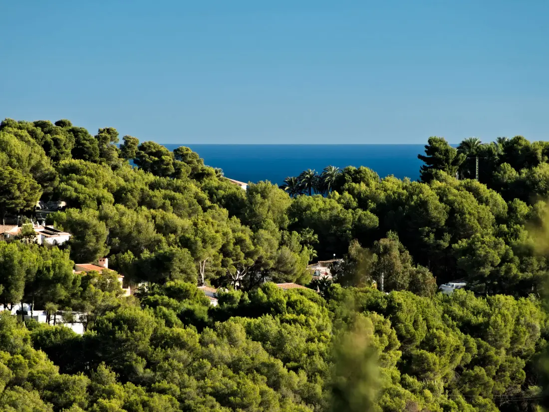 Maison de Vacances Javea