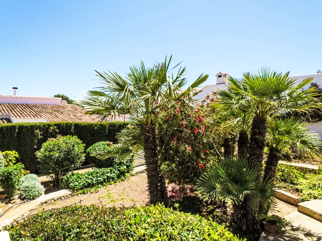 Maison de Vacances Javea