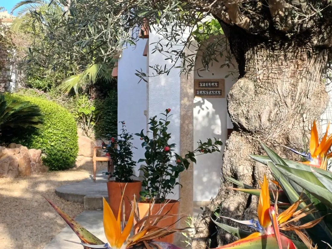 Maison de Vacances Javea