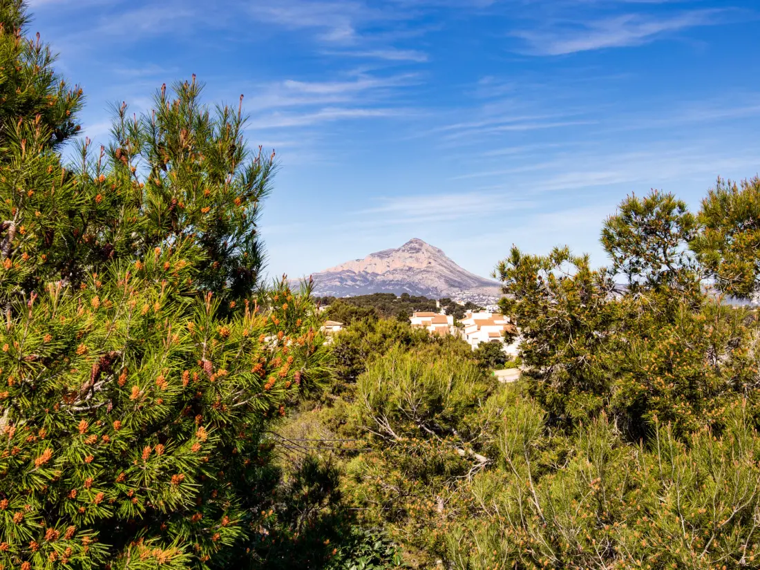 Maison de Vacances Javea