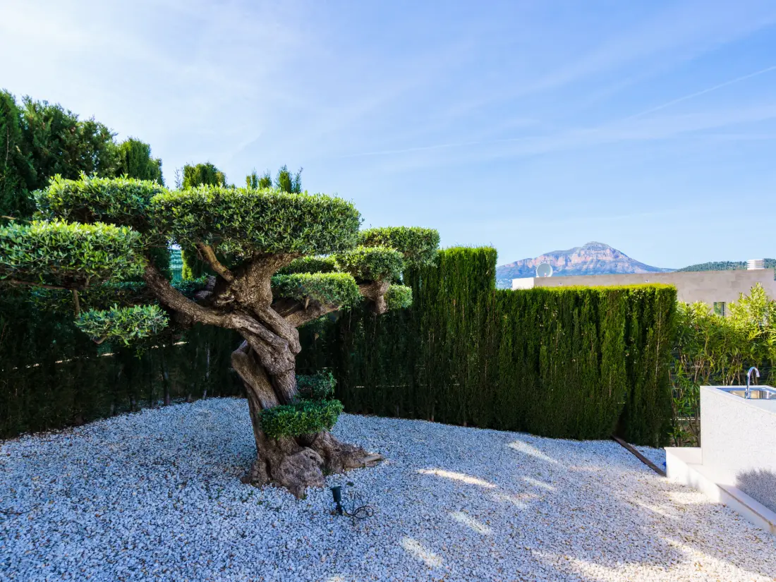 Maison de Vacances Javea