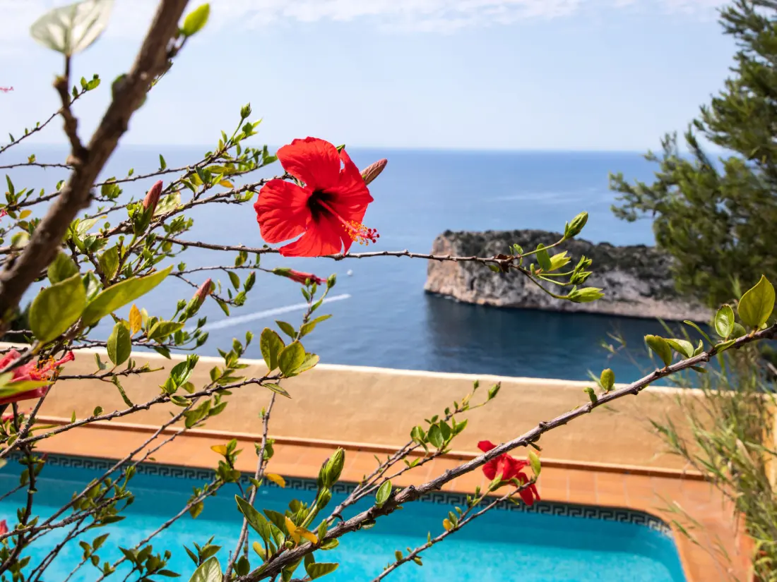 Maison de Vacances Javea
