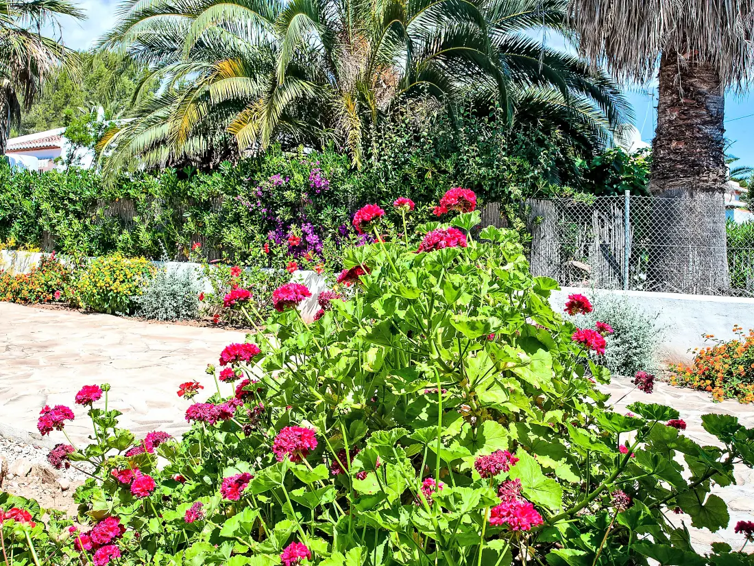 Maison de Vacances Javea