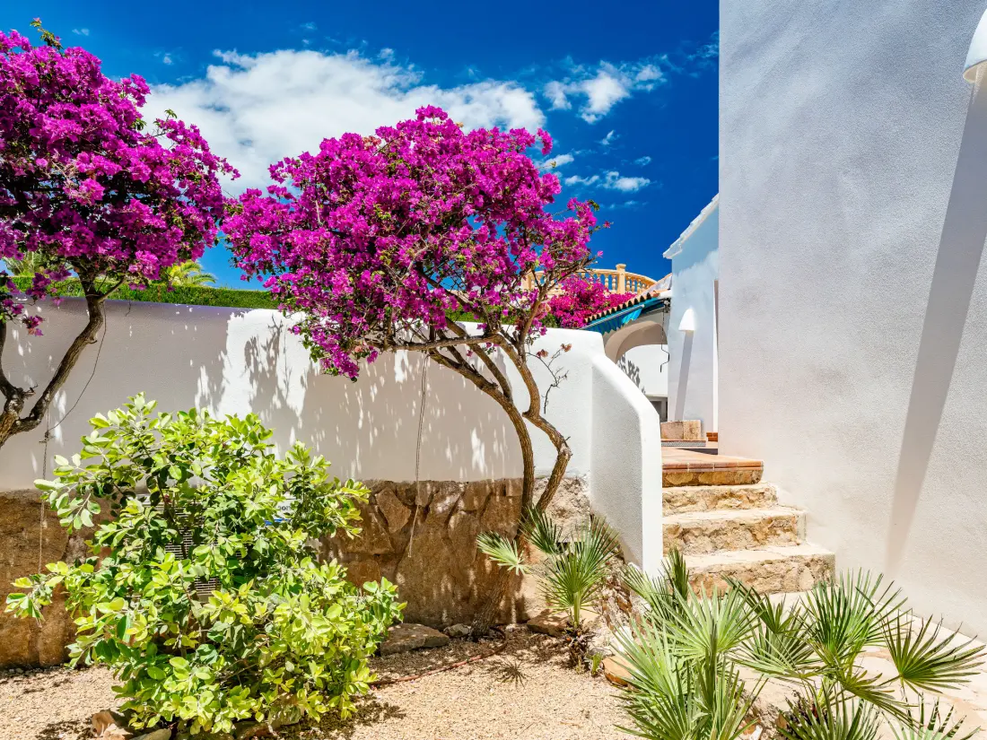 Maison de Vacances Javea