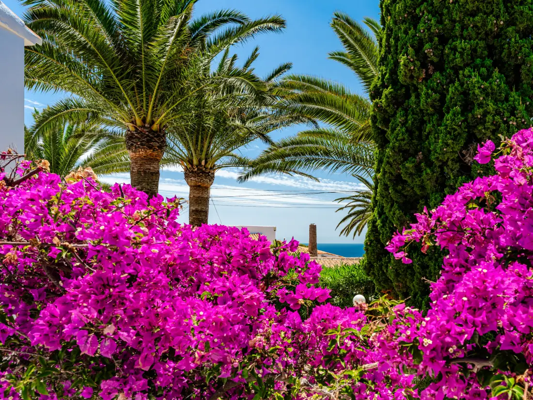 Maison de Vacances Javea