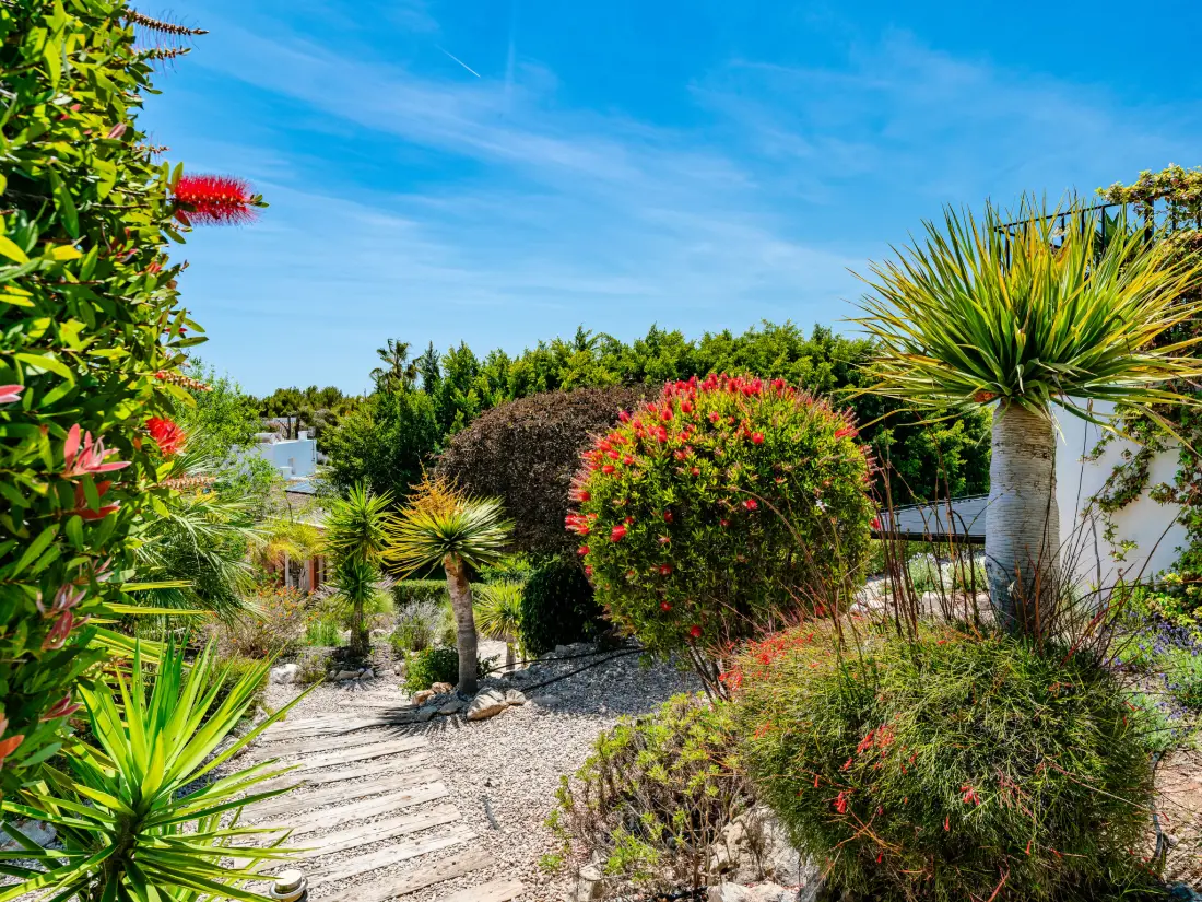 Maison de Vacances Javea