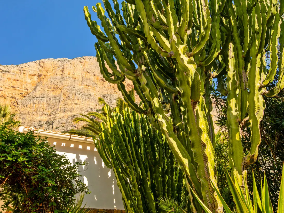 Maison de Vacances Javea
