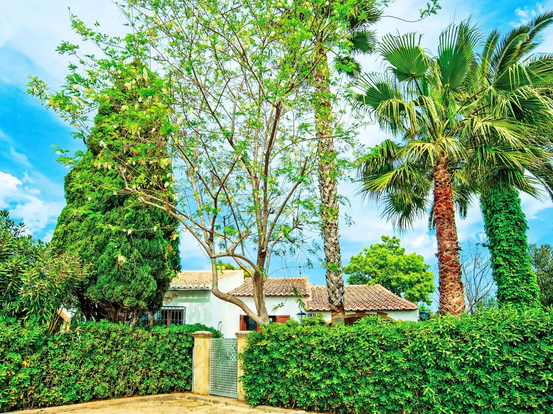 Maison de Vacances Javea