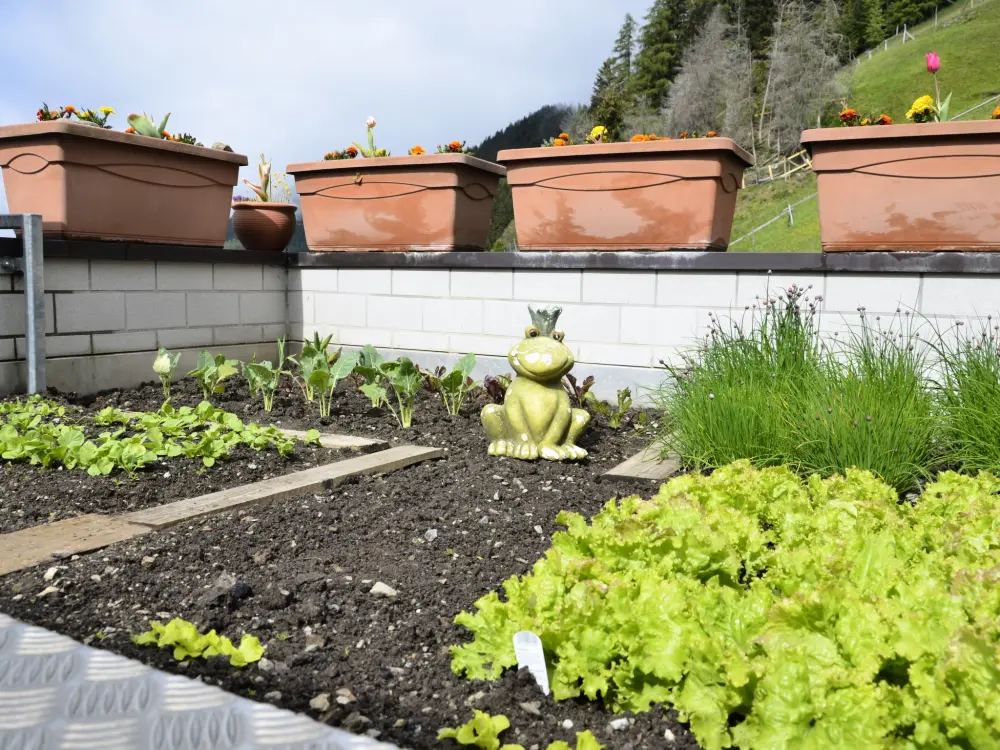 Maison de Vacances Kappl