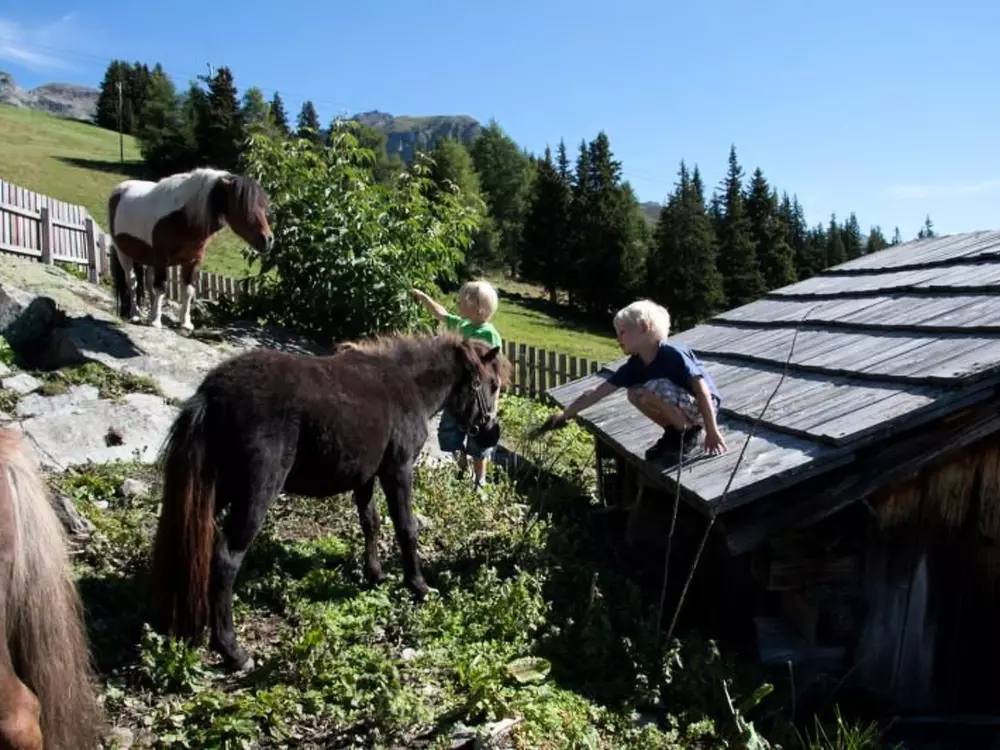 Résidence Appartement 303/201
