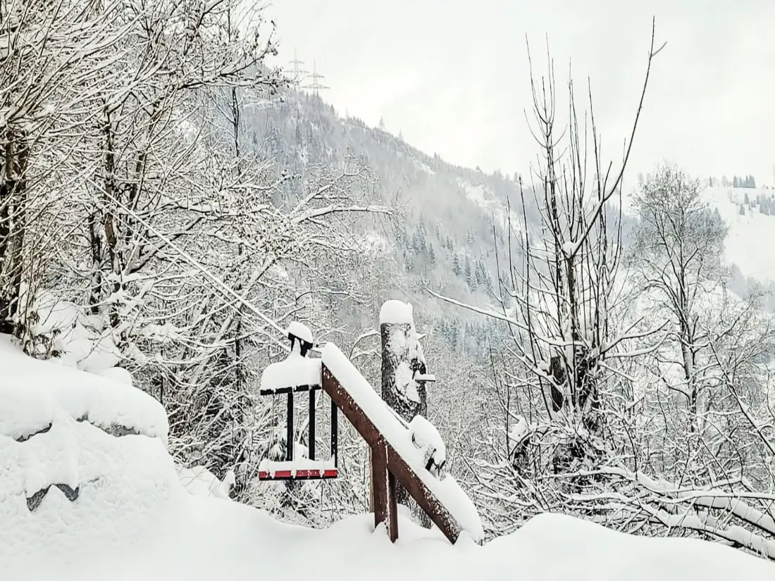 Chalet Kaprun