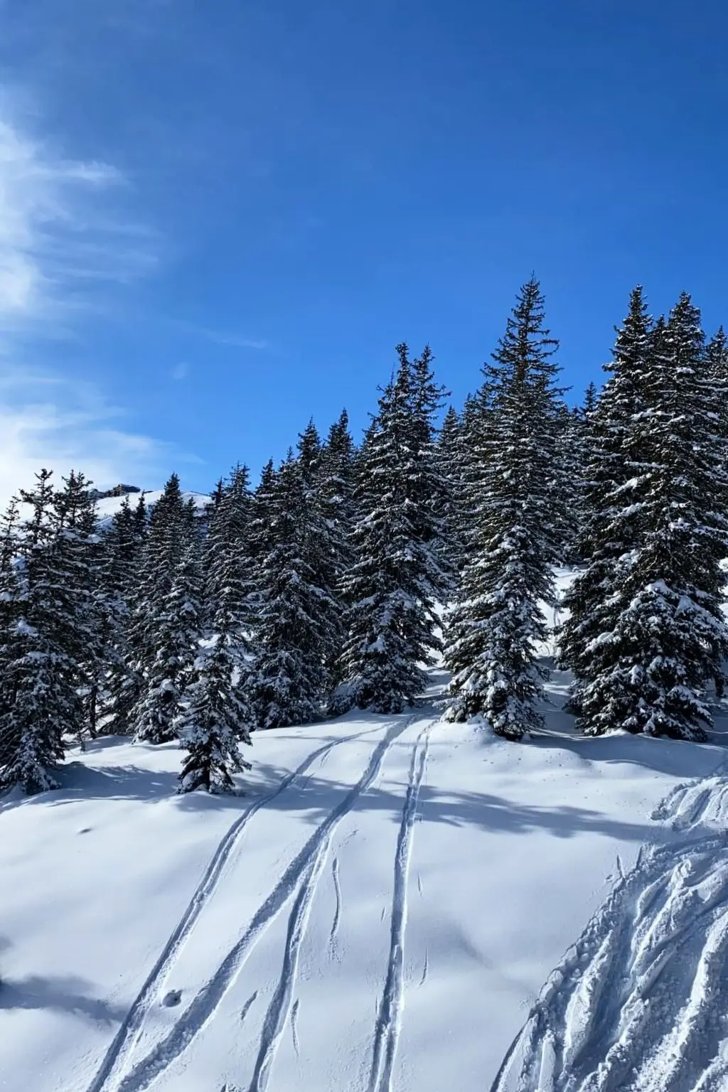 Résidence Alpinresort Kaprun top 2