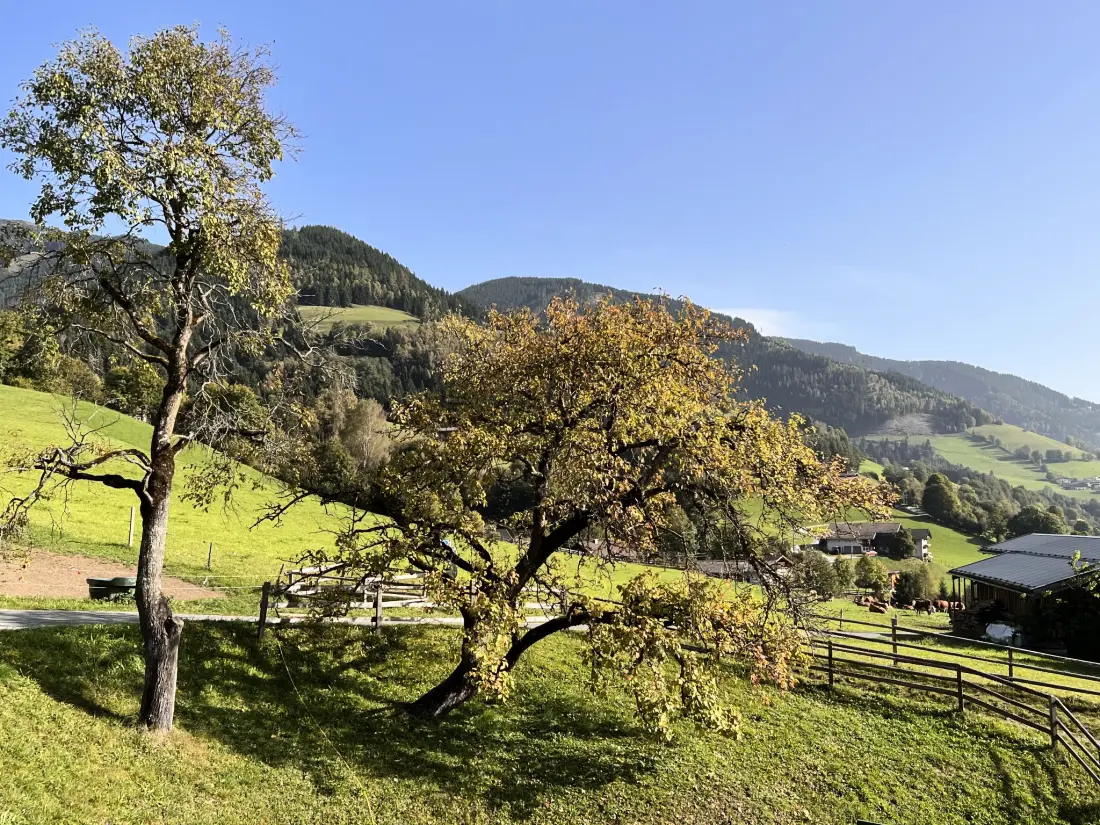 Résidence Bauernhof Gasteg (S)