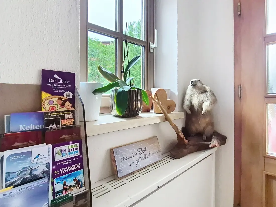 Résidence Boutique Appartement Tauernblick