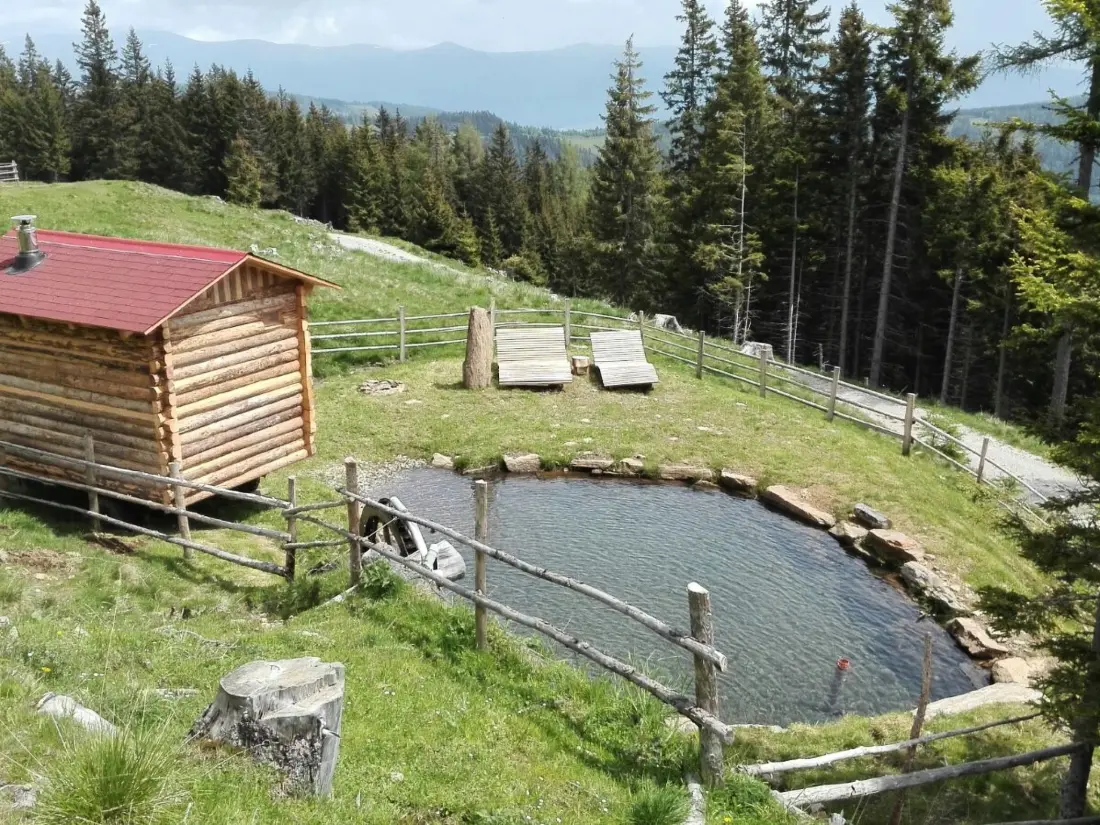 Maison de Vacances Klippitztörl
