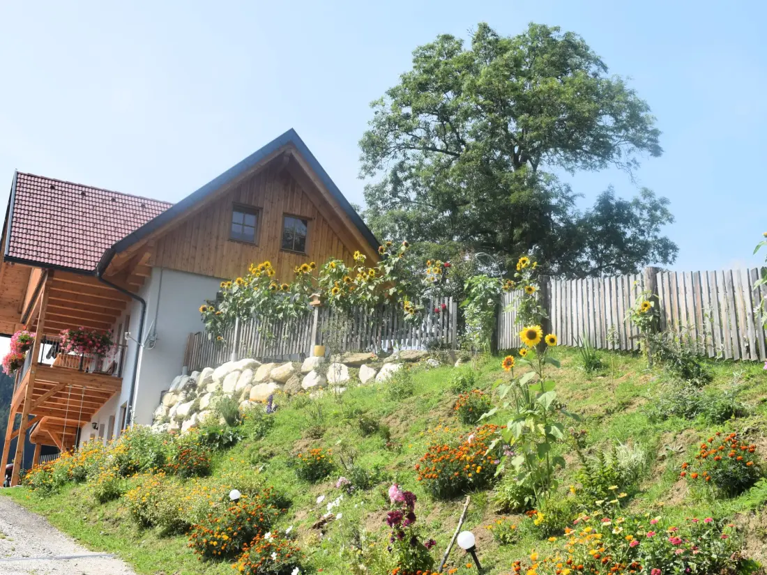 Maison de Vacances Klippitztörl