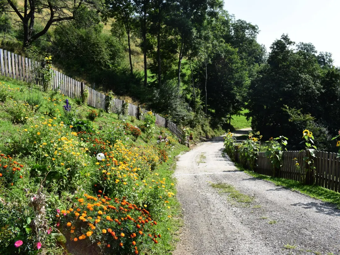 Maison de Vacances Klippitztörl