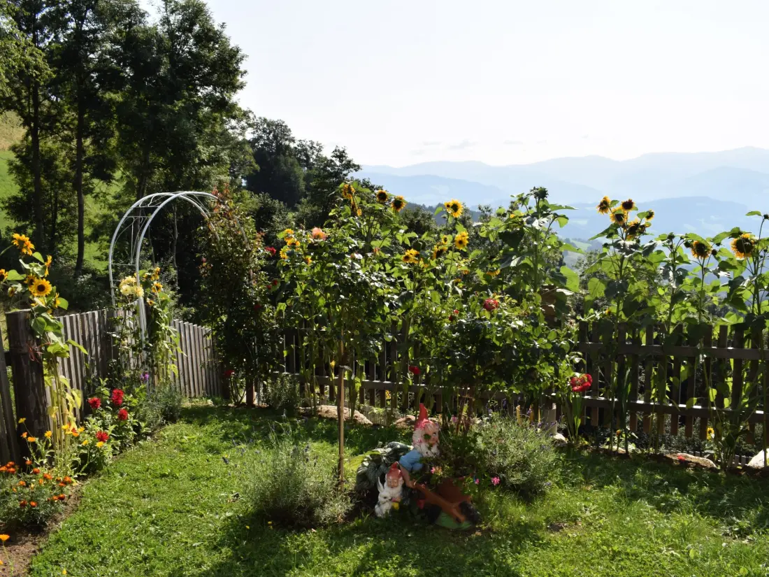 Maison de Vacances Klippitztörl