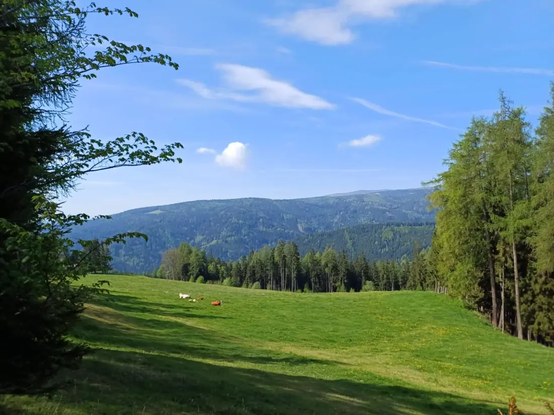Maison de Vacances Klippitztörl