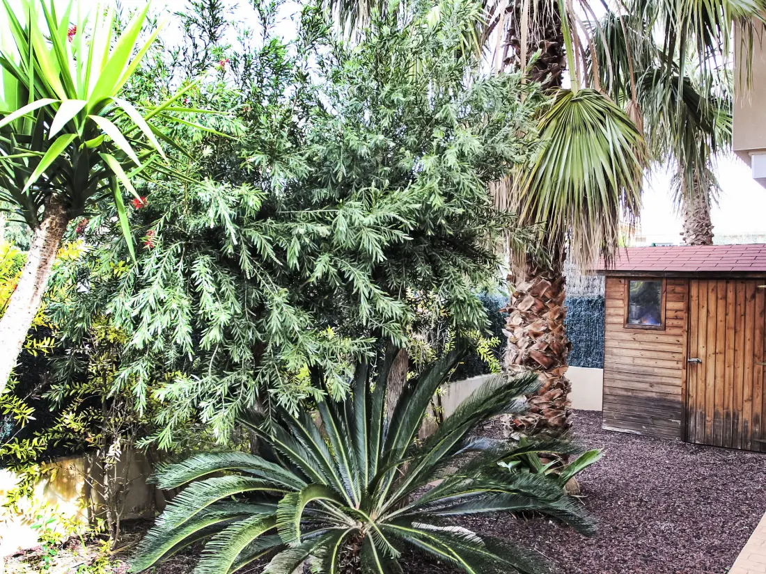 Maison de Vacances L'Ampolla