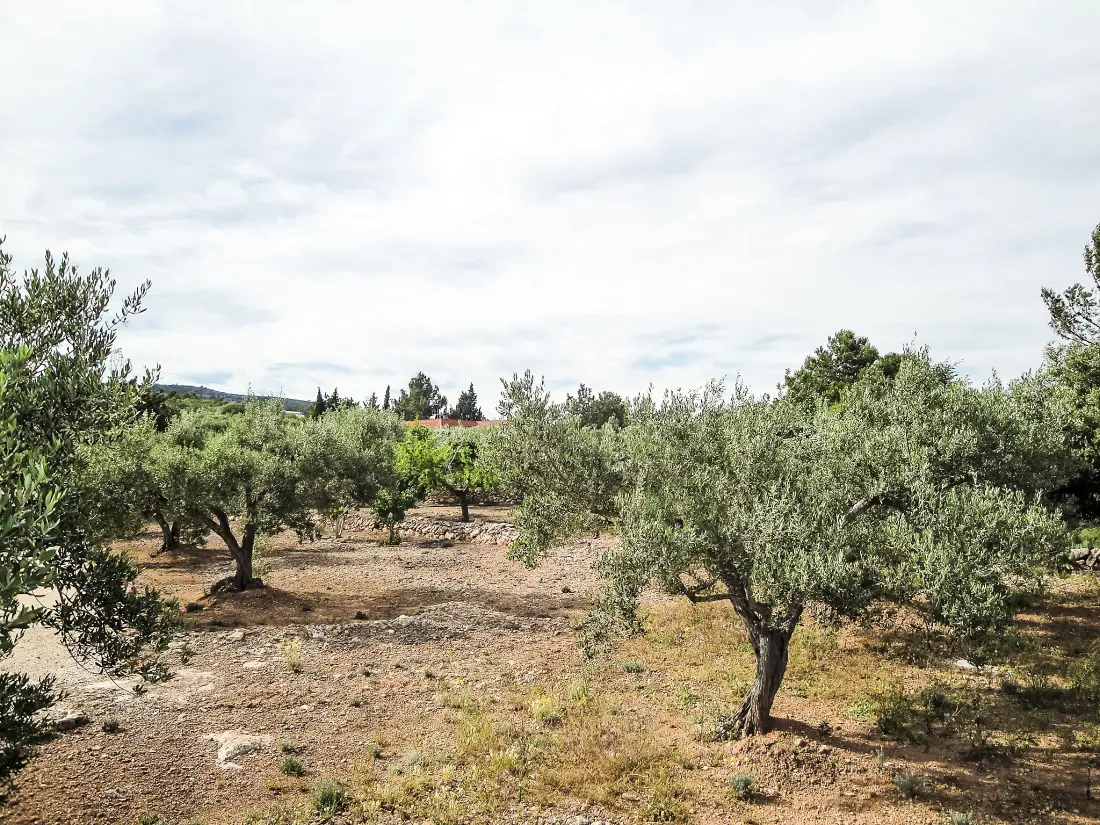 Maison de Vacances L'Ampolla