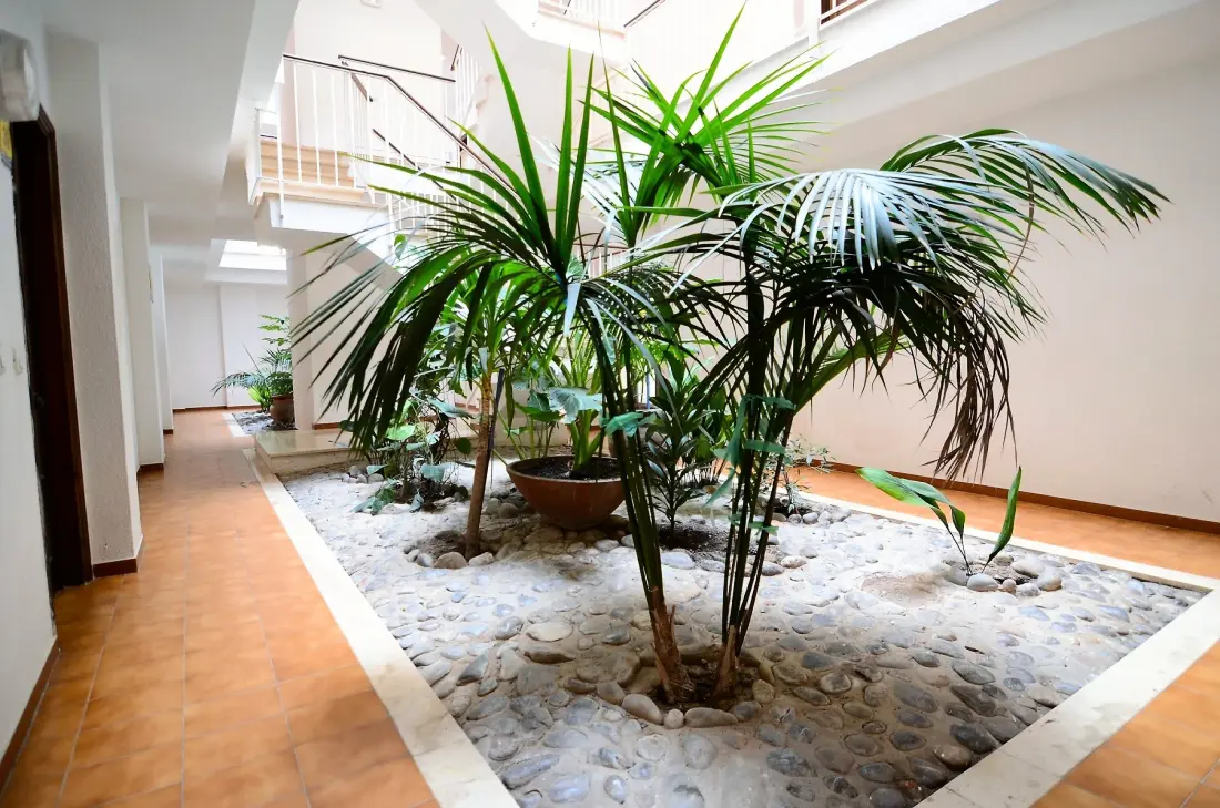 Appartements à L'Estartit
