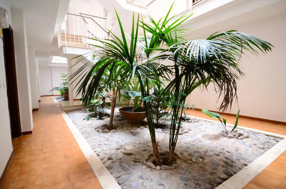 Appartements à L'Estartit
