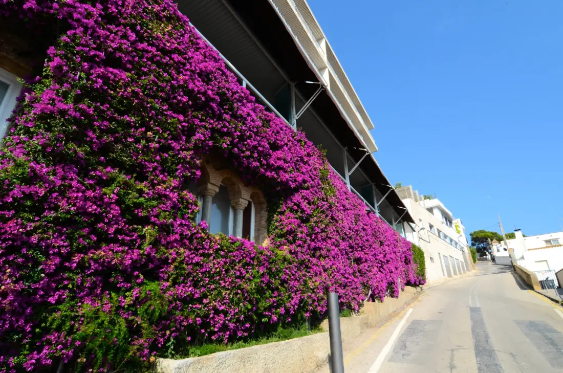 Appartements à L'Estartit