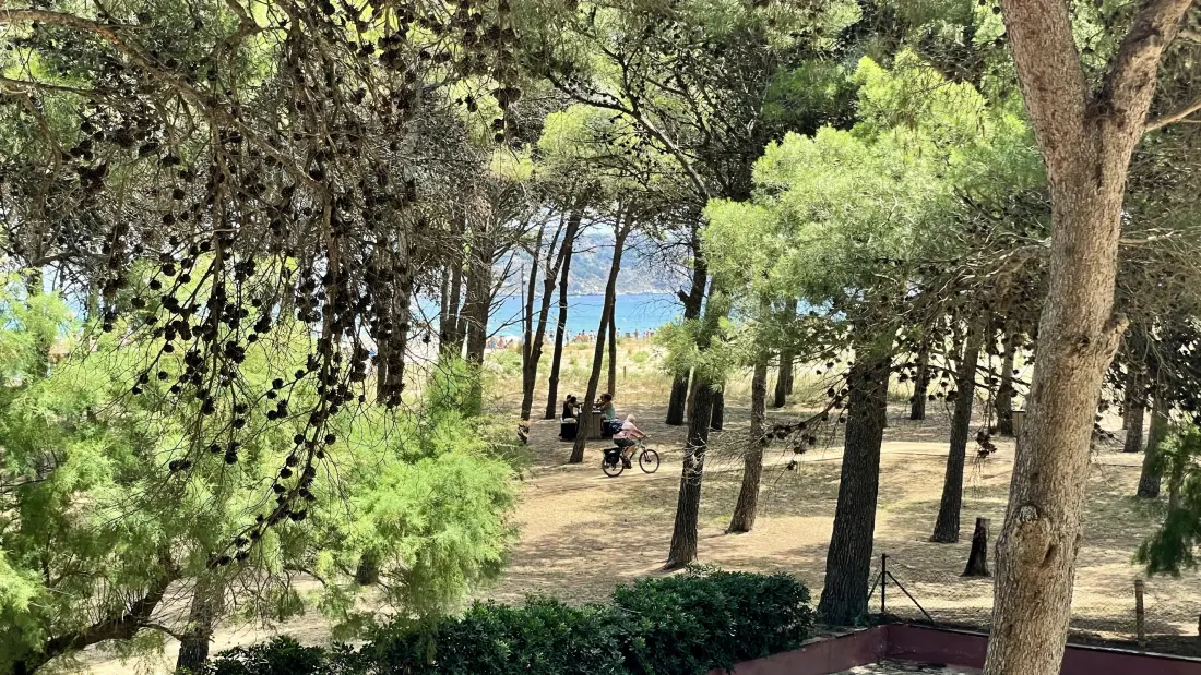 Appartements à L'Estartit