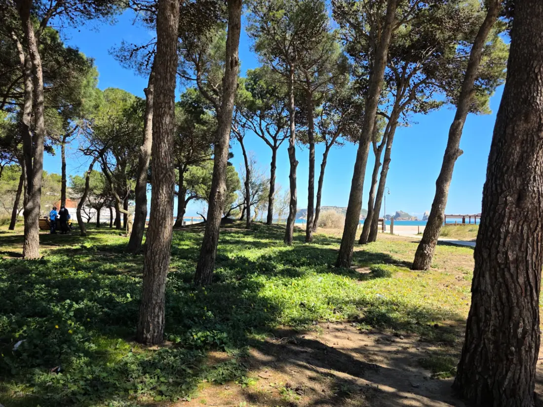 Appartements à L'Estartit