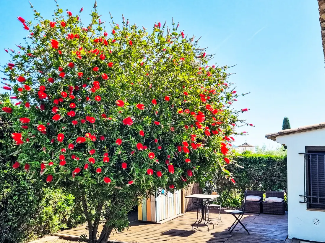 Maison de Vacances L'Estartit