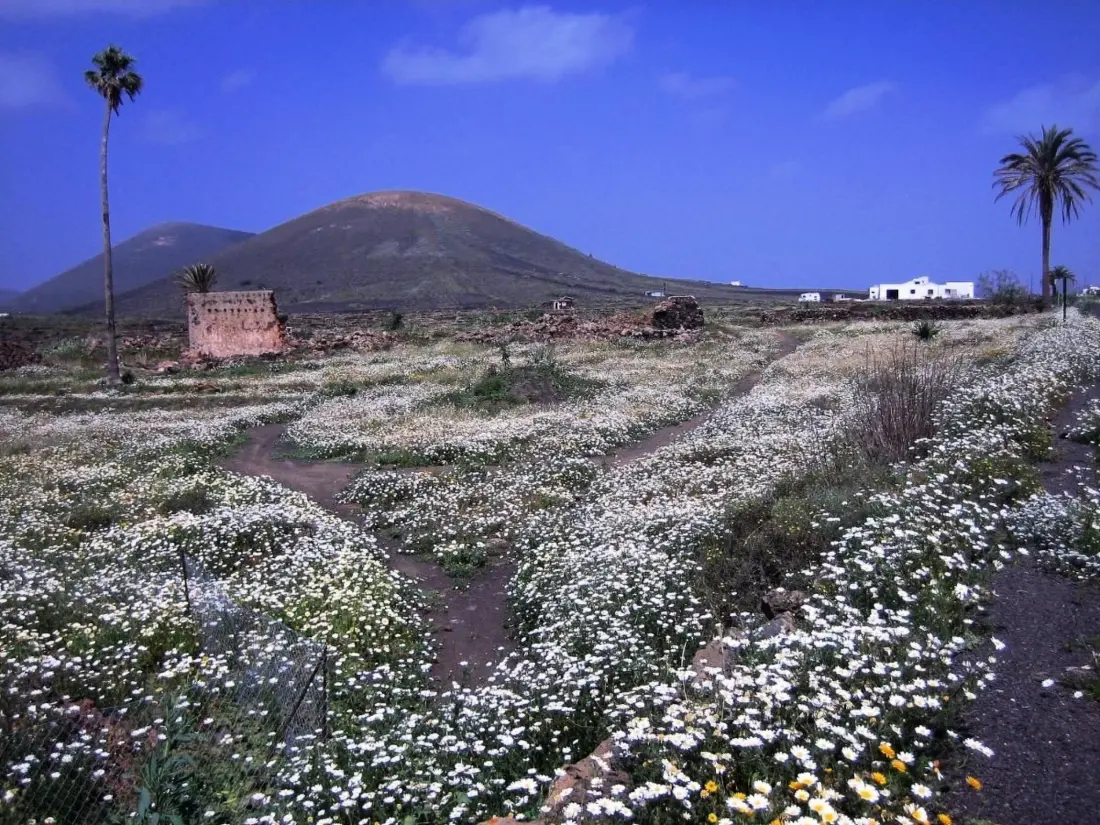 Maison de Vacances La Asomada
