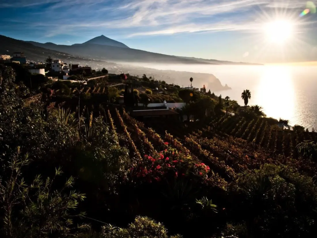 Résidence El Teide