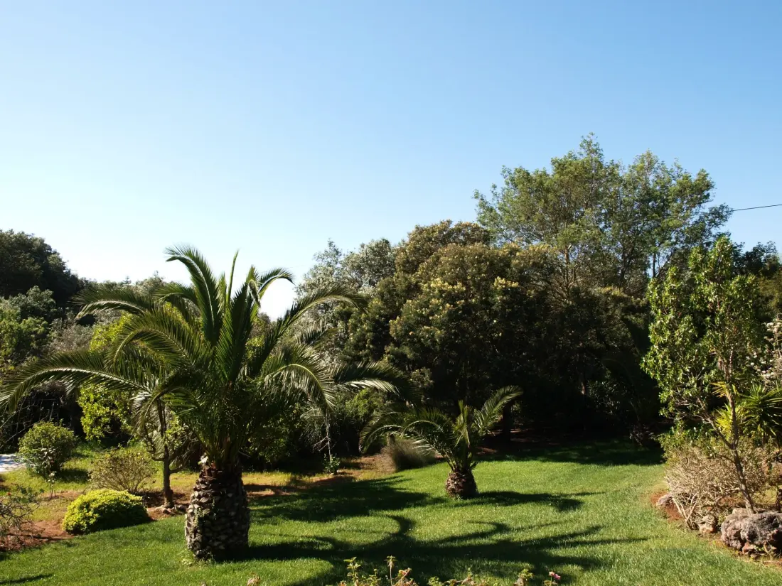 Maison de Vacances Lagos