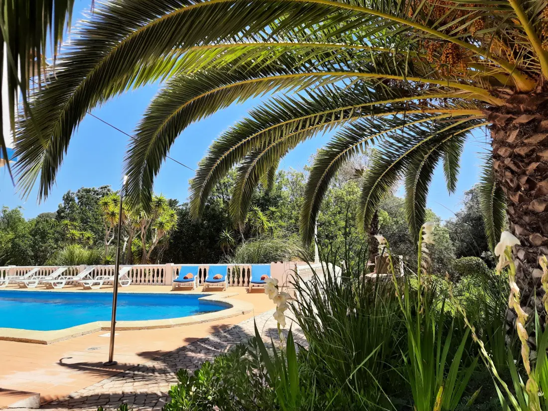 Résidence mit Terrasse und Gemeinschaftspool