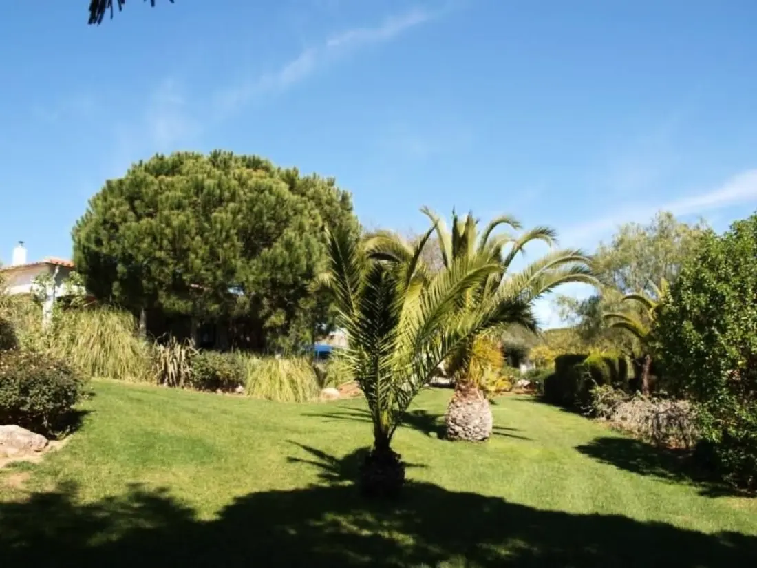Résidence mit Terrasse und Gemeinschaftspool