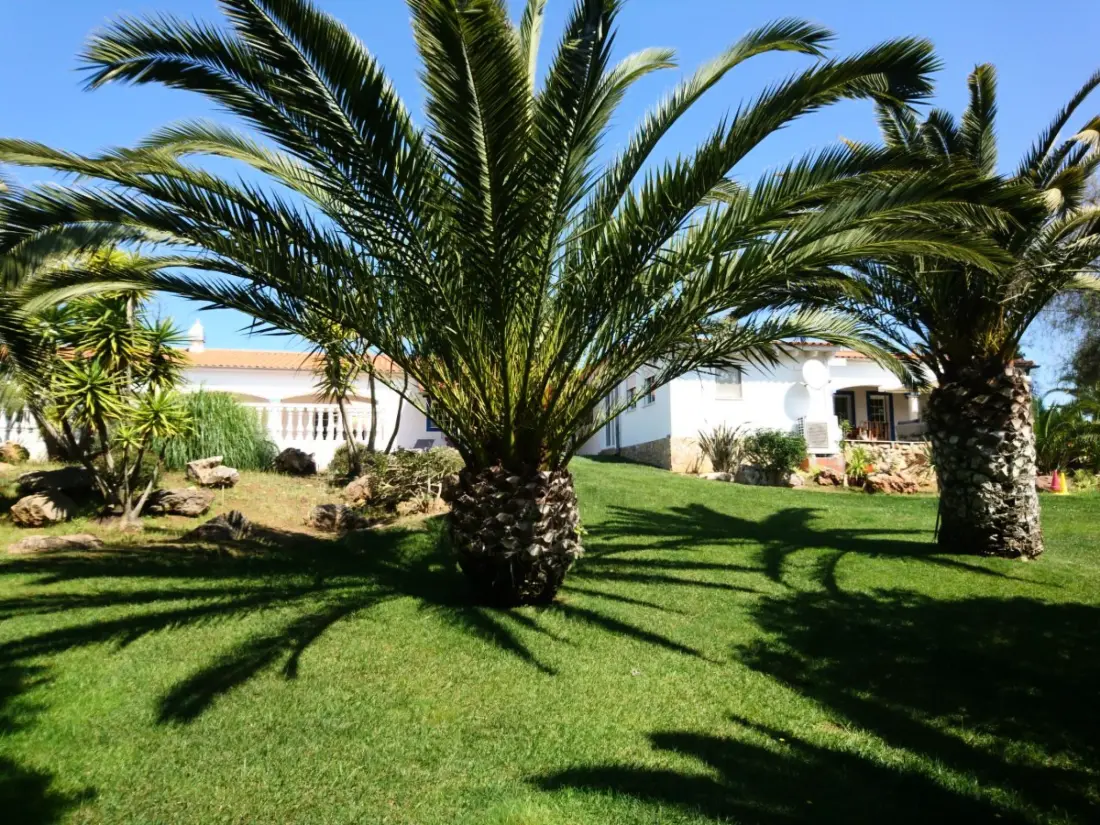 Résidence mit Terrasse und Gemeinschaftspool