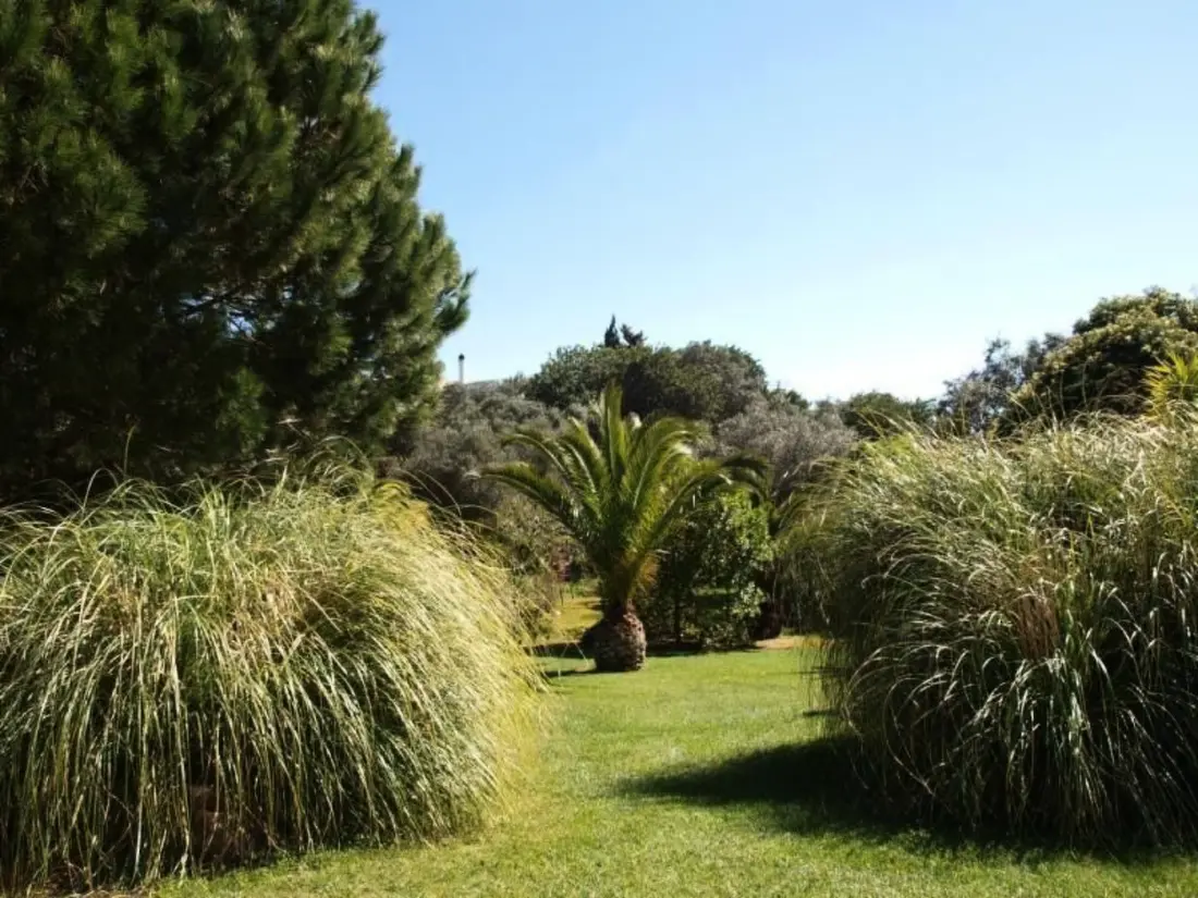 Résidence mit Terrasse und Gemeinschaftspool