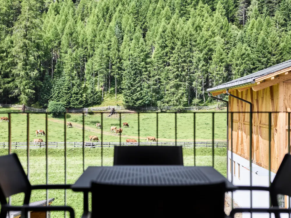 Résidence s`Groasse am Hannesnhof