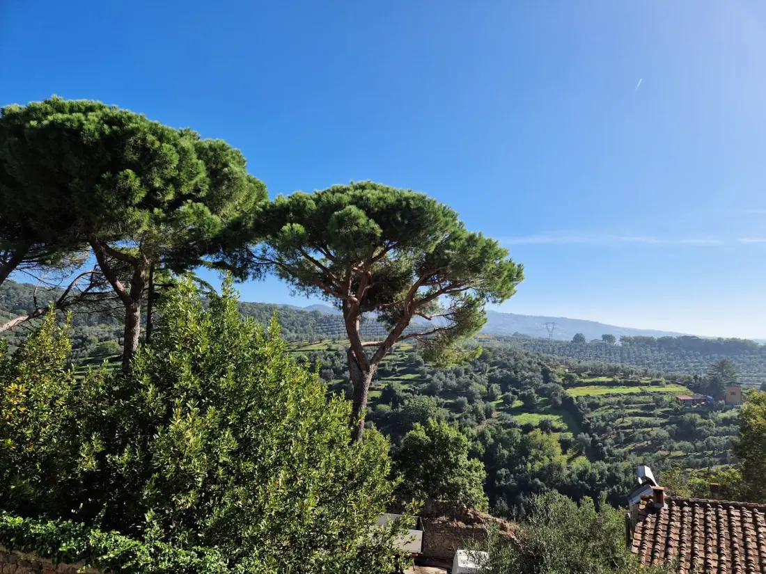 Maison de Vacances Larciano