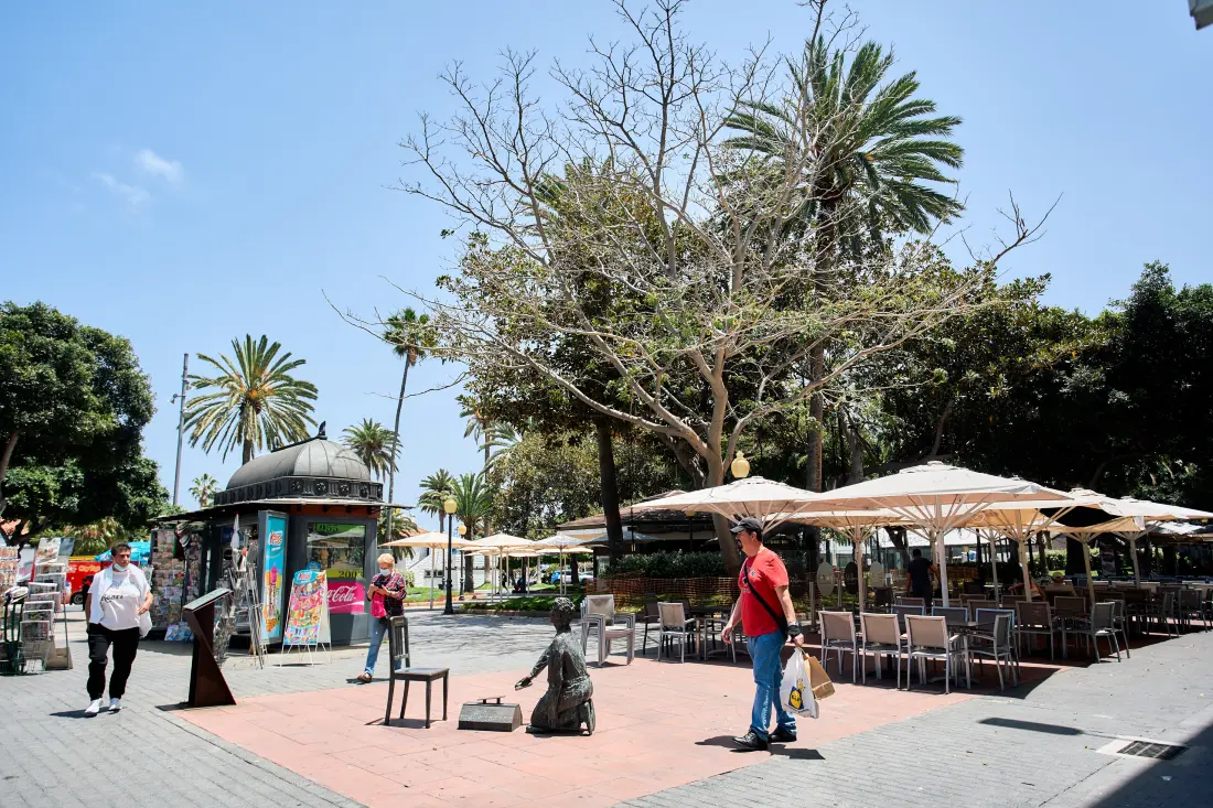 Maison à Las Palmas de Gran Canaria