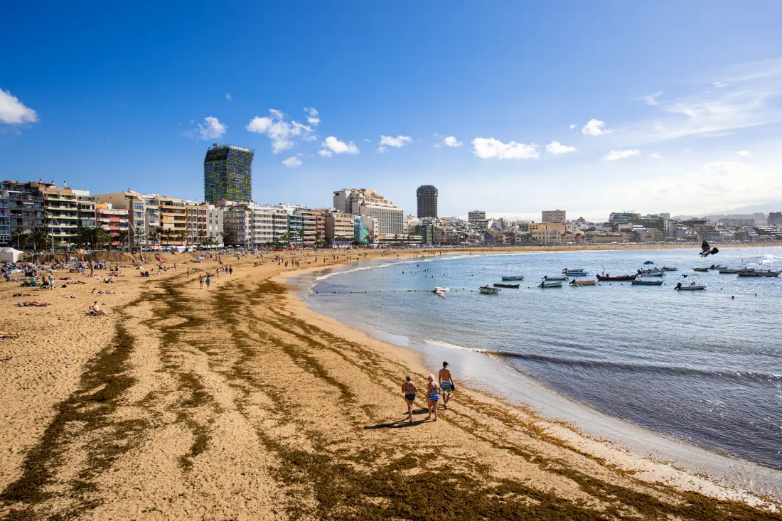 Maison à Las Palmas de Gran Canaria