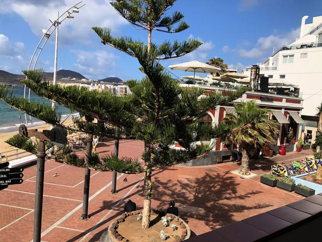 Maison à Las Palmas de Gran Canaria