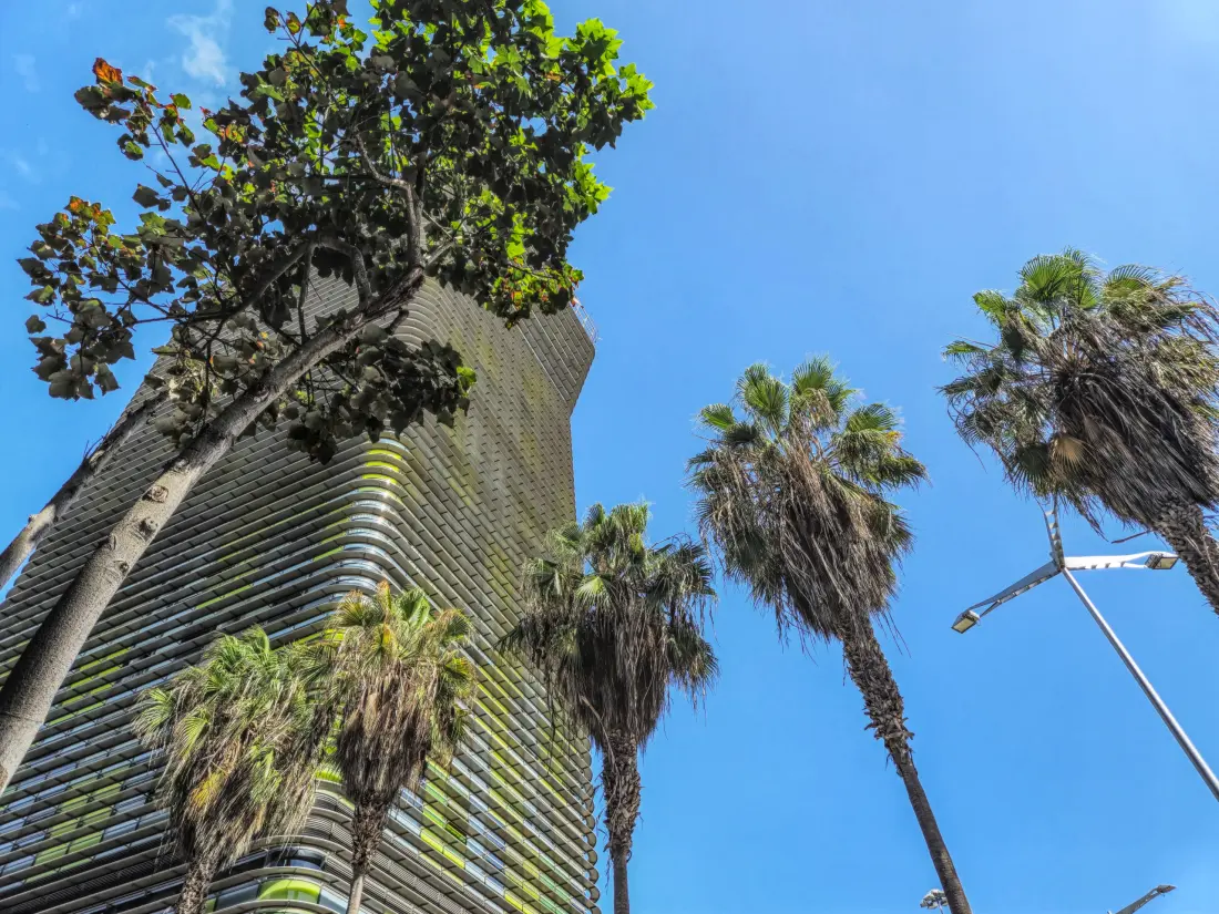 Appartements à Las Palmas de Gran Canaria
