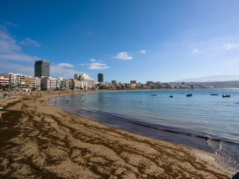 à Las Palmas de Gran Canaria