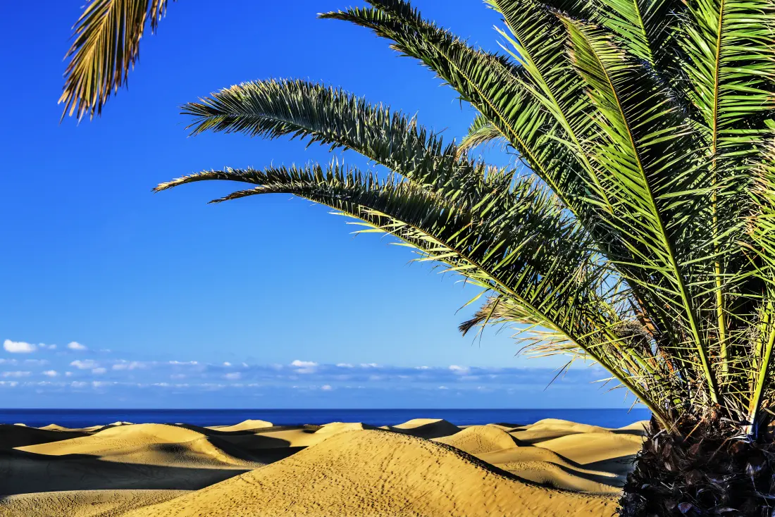 Studio à Las Palmas de Gran Canaria