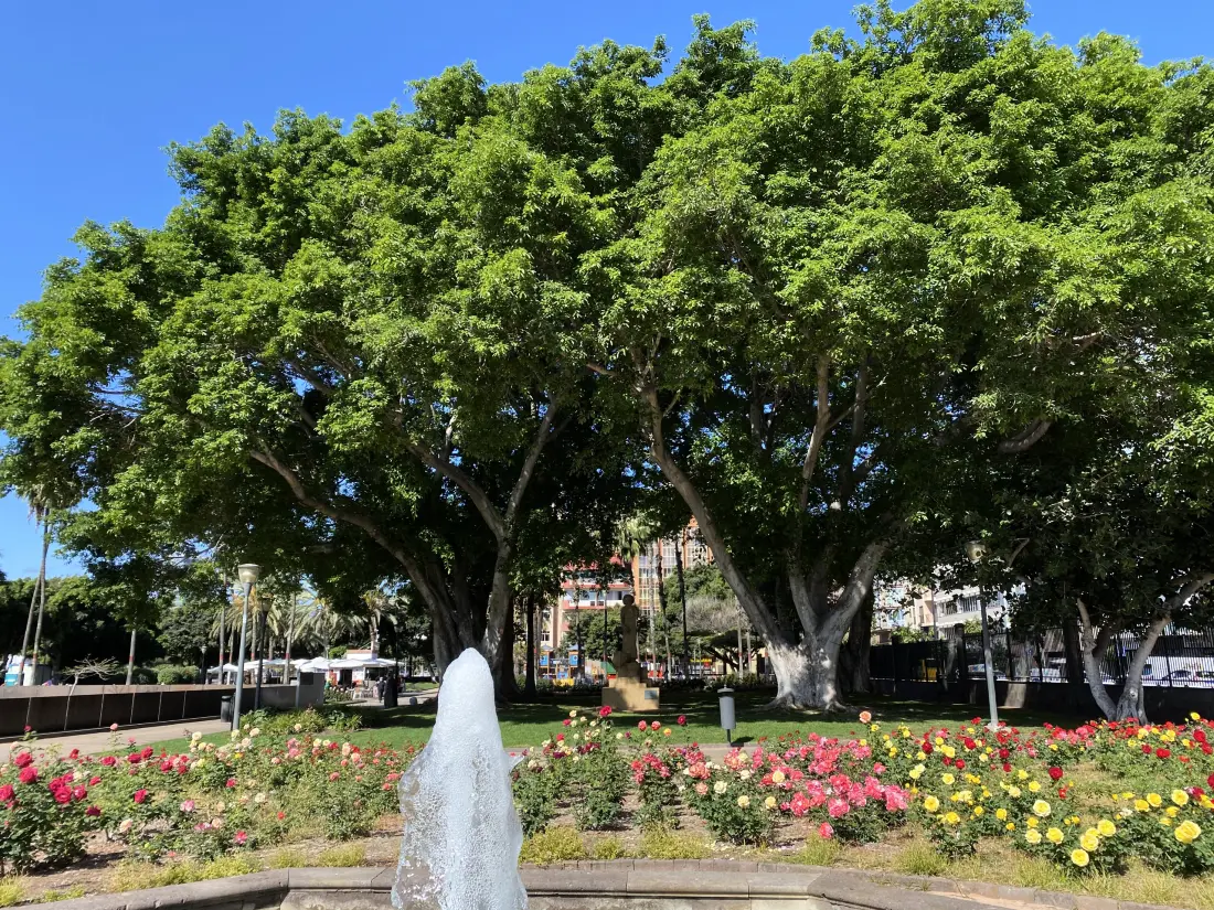 Studio à Las Palmas de Gran Canaria