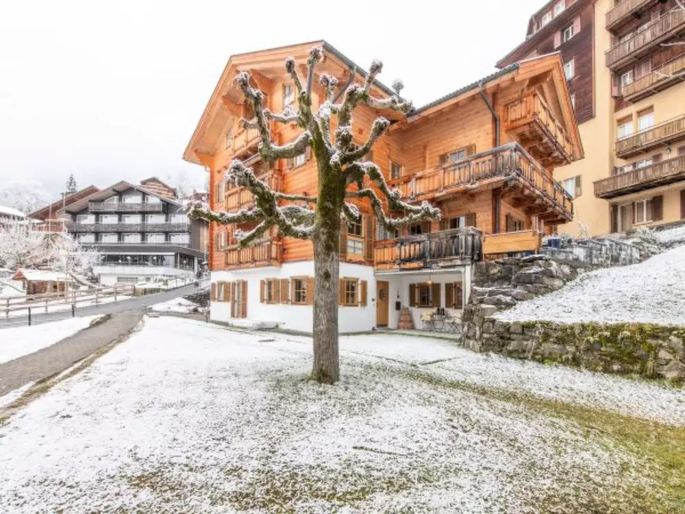 Résidence Chalet Alpina