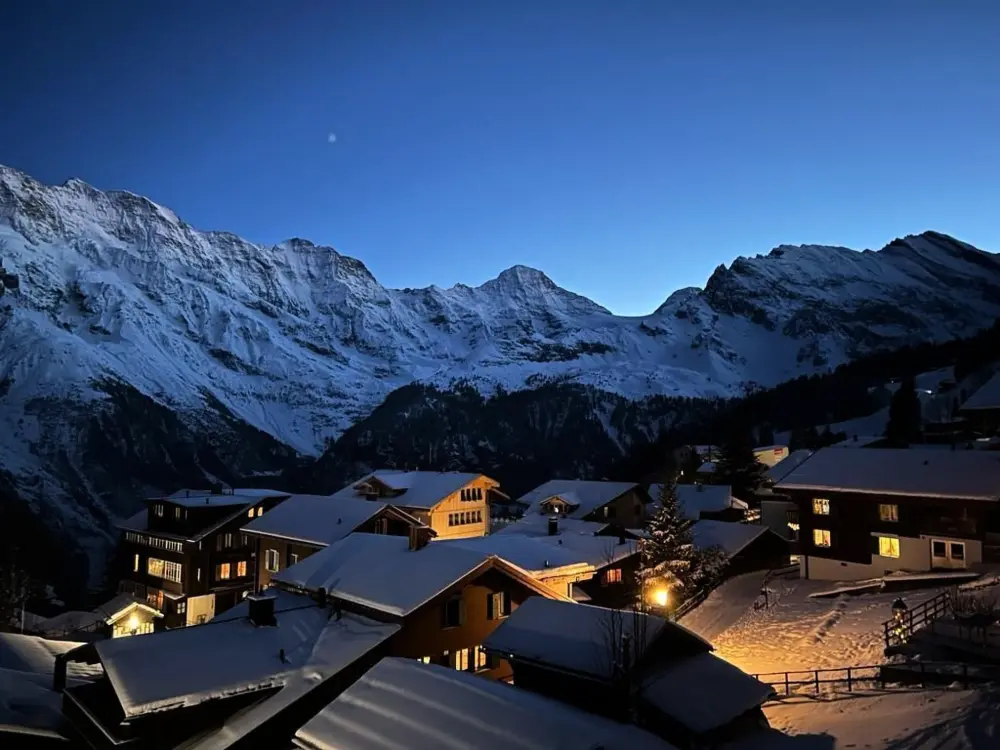 Résidence Chalet Soldanella